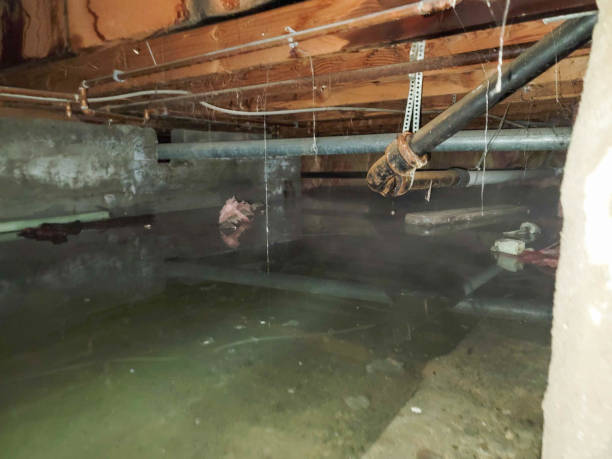 Best Water damage restoration near me  in Eastpoint, FL