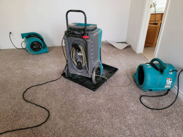 Best Water damage restoration near me  in Eastpoint, FL