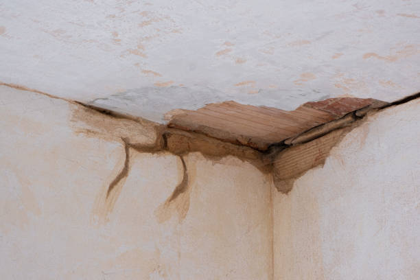 Best Professional water damage repair  in Eastpoint, FL