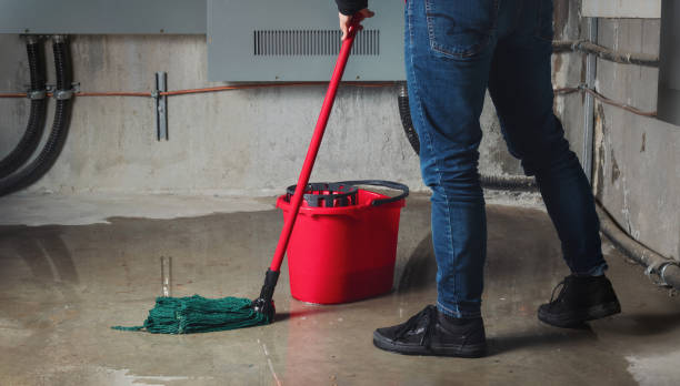 Best Sewage cleanup and water damage restoration  in Eastpoint, FL