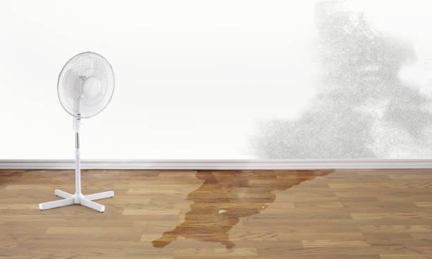 Best Water damage restoration company  in Eastpoint, FL