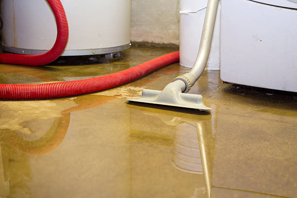 Best Sewage cleanup and water damage restoration  in Eastpoint, FL