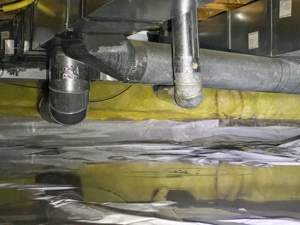 Best Ceiling water damage repair  in Eastpoint, FL