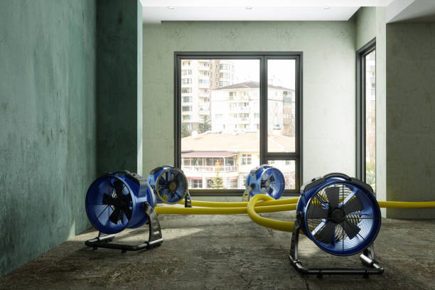 Best Carpet water damage restoration  in Eastpoint, FL