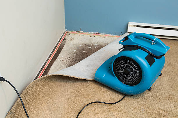 Best Basement water damage restoration  in Eastpoint, FL